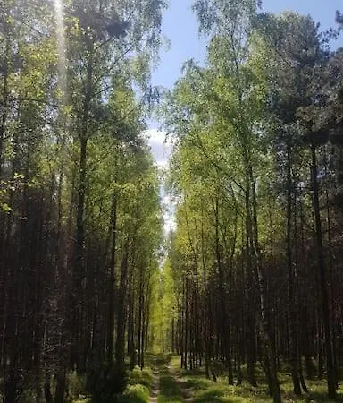 Дом отдыха Pod Debem