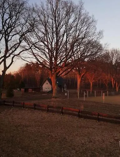 Pod Debem Wielki Bartel