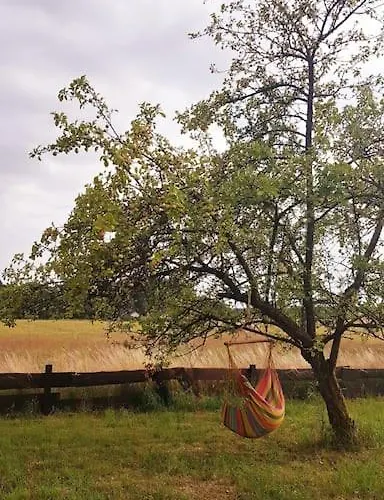 Pod Debem * Wielki Bartel