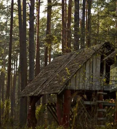 Pod Debem 度假居 Wielki Bartel