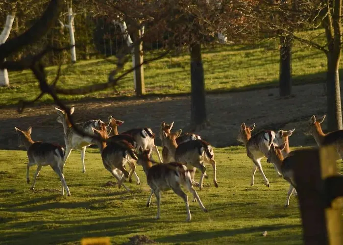 بيت للعطل Pod Debem